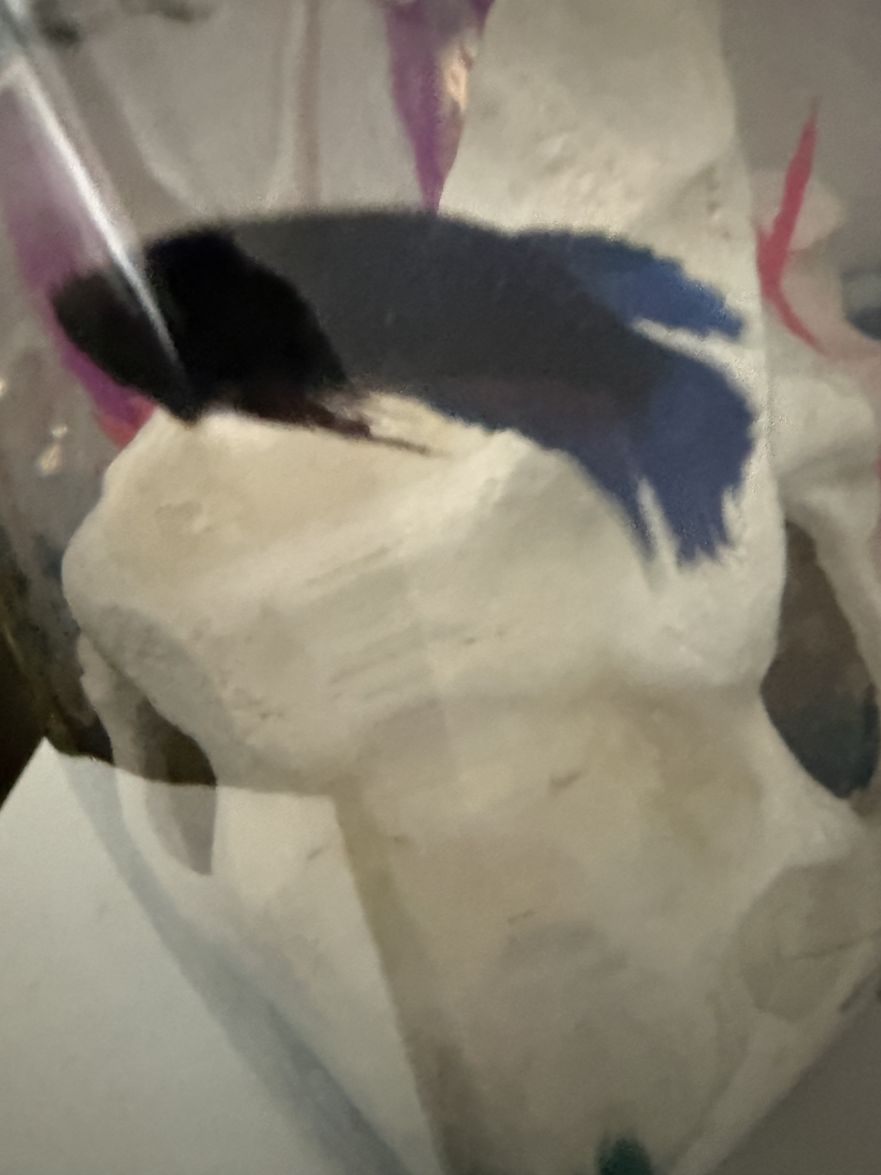 Gary's Office Picture